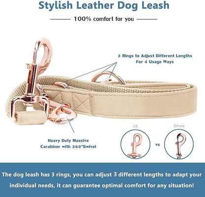 Soft Leather Dog Collar and Leash (6.6') Set - Stylish Rose Gold Heavy Duty Metal Buckle, 4 Adjustable Lengths Leash for Small Medium Large Dogs - Comfortable & Easy to Clean Beige M(13.8"-19.7")