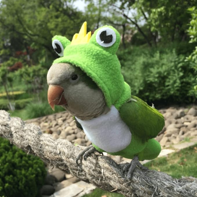 Bird Diaper Flight Suit Frog Shape Hoodie - Bird Clothes Cosplay Photo Prop for Parrots, Parakeet, Cockatiel & Sun Conure - Green with Diaper, Small