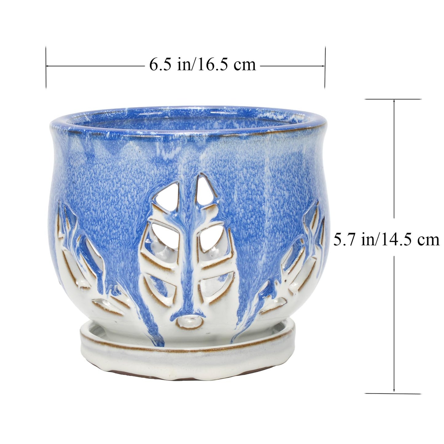 W&W Orchid Pot with Holes and Saucer for Repotting and Better Grow, Blue and White, 6.5 Inches