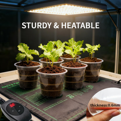 Plgardpo Clear Nursery Pots, 4/5/6 Inch Transparent Plastic Plant Pots with Drainage Holes, Variety Pack Seed Starting Pots, Clear Flower Pots for Indoor Outdoor Plants, 24 Packs