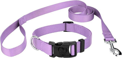 Country Brook Petz - Everyday Nylon Dog Collar and Leash - 10+ Cool Colors (3/8 Inch, 3XS, Lavender)