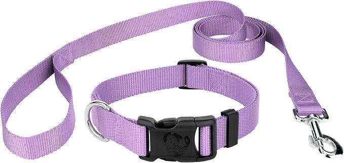Country Brook Petz - Everyday Nylon Dog Collar and Leash - 10+ Cool Colors (3/4 Inch, Medium, Lavender)