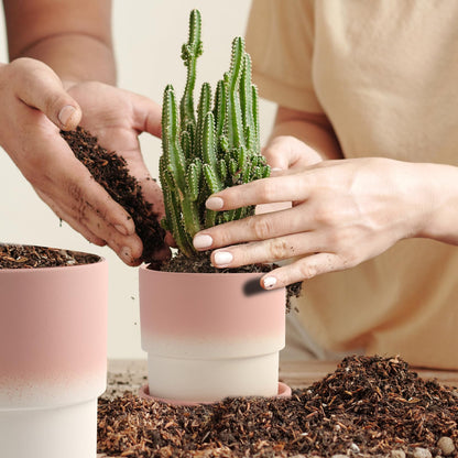 4PCS Flowerpot with Tray Ceramic Planters Small Planters for Indoor Plants Plant Pots Indoor with Drainage Small Succulent Clay Planter Pots (Green)