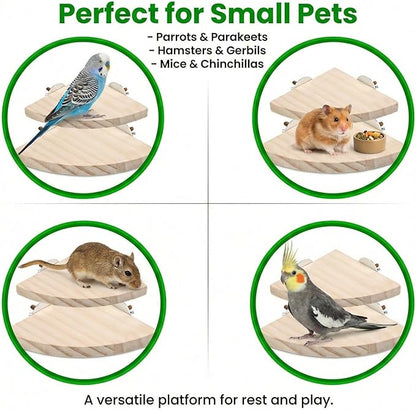 2 Pcs Flat Perches for Bird Cages Flat Bird Perch Platform Birds Perch Birds Cages Accessories Fan Shape for Parakeet Conure Cockatiel Budgie Rat Chinchilla Gerbil Hamster (2 Size)