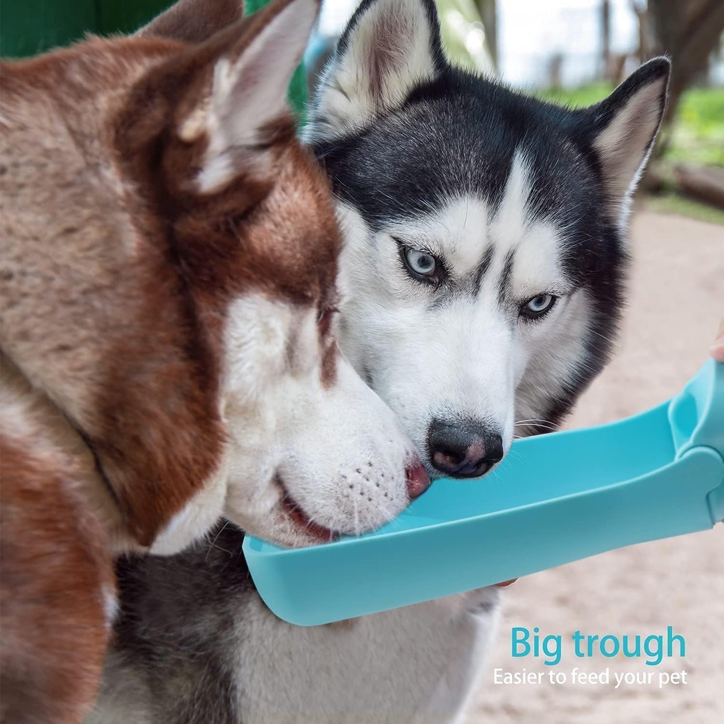 SOICTA Portable Dog Small Animals Water Bottle for Walking 19 OZ or 12 OZ Pet Water Bottles for Puppy Medium Large Dogs Little Animals Water Dispenser Dog Small Animals Water Bowl (19OZ Blue)