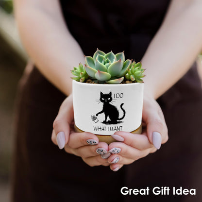 ROXMART Funny Sarcastic Black Cat Plant Pots, Cat Lover Lady Mom Gifts Succulent Planters, I Do What I What Black Kitten Ceramic Plant Flower Pots for Home Office Desk Table Shelf(No Plants)