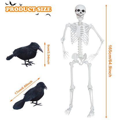 LOSFOTBO 5.4ft/165cm Halloween Skeleton with Realistic Crows Full Body Plastic Human Bones with Movable Joints for Indoor Outdoor Halloween Decor