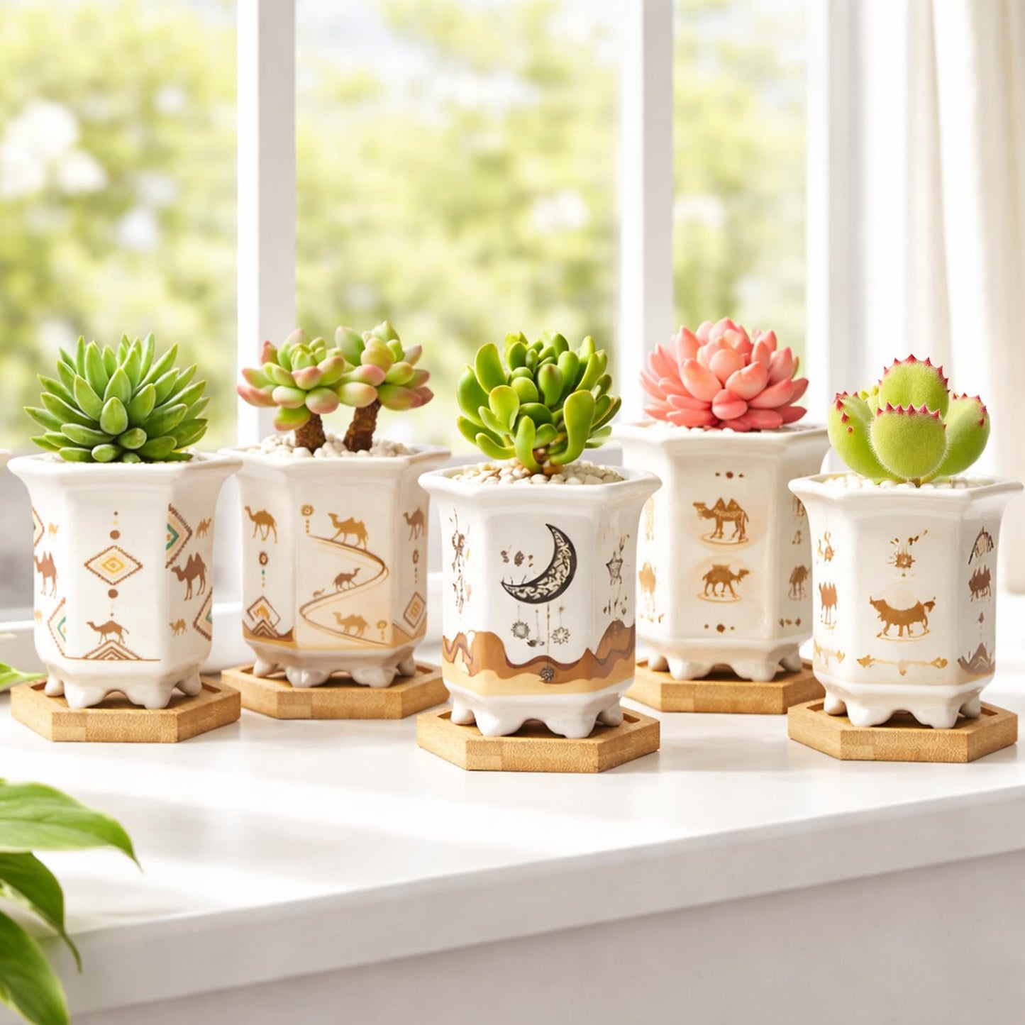 Succulent Pots 6 Pack, Small 3.3 Inch Cactus Pots with Drainage and Bamboo Tray, Ceramic Plant Pots for Succulents, Small Planters for Indoor Plants, Mini Flower Pots