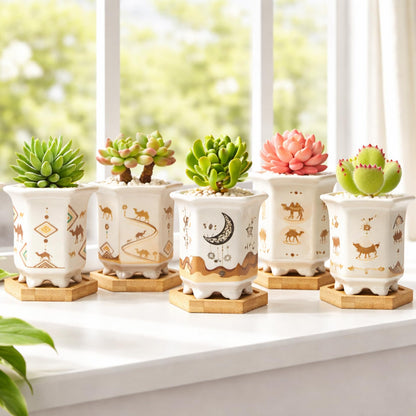 Succulent Pots 6 Pack, Small 3.3 Inch Cactus Pots with Drainage and Bamboo Tray, Ceramic Plant Pots for Succulents, Small Planters for Indoor Plants, Mini Flower Pots