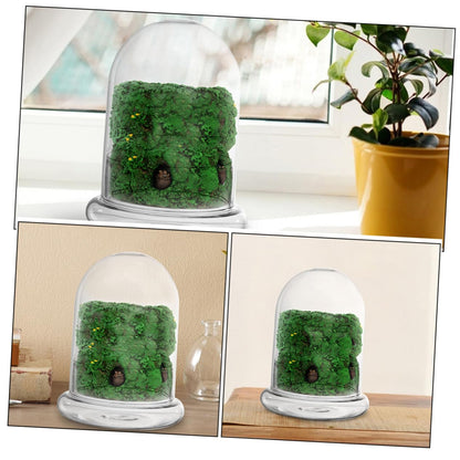 Totority 2pcs Glass Ecological Terrarium Bottle for DIY Micro Landscape Display Decorative Container for Desk Plants and Miniature Gardens