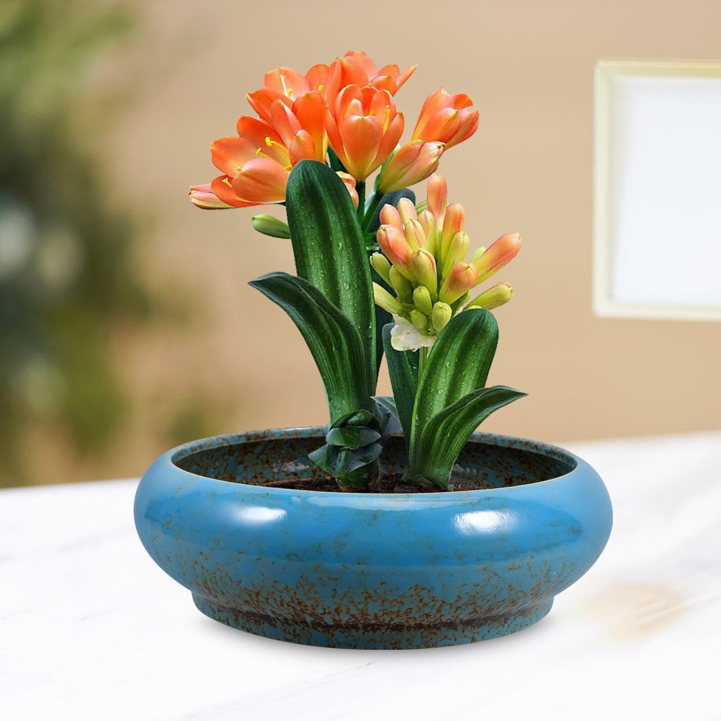 GANAZONO Large Garden Bowl Planter Water Plant Pot Water Lily Pots Hydroponic Planter Bonsai Pots Garden Decorative Cactus Stand Flower Container Daffodil Pot Bowl (Random Color)