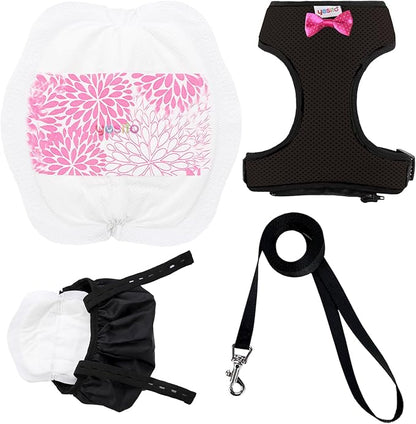 Adjustable Chicken Harness Diaper (5.4ft Leash) – Breathable & Washable Secure Training for Hens, Ducks & Chicks | Outdoor Walking & Discipline Solution,Black