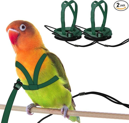 2 pcs Pet Parrot Bird Harness and Leash, Adjustable Training Design Anti-Bite, Outdoor Flying Training Rope Kit for Bird Parrots Fits Birds Chest Between24-51cm /9.45-20inch - M (Green)