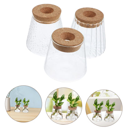 ibasenice 3Pcs Glass Hydroponic Plant Vases Compact Indoor Gardening Terrarium for Avocado Propagation Modern Desktop Decoration for Home Office Versatile Plant Propagation Jars