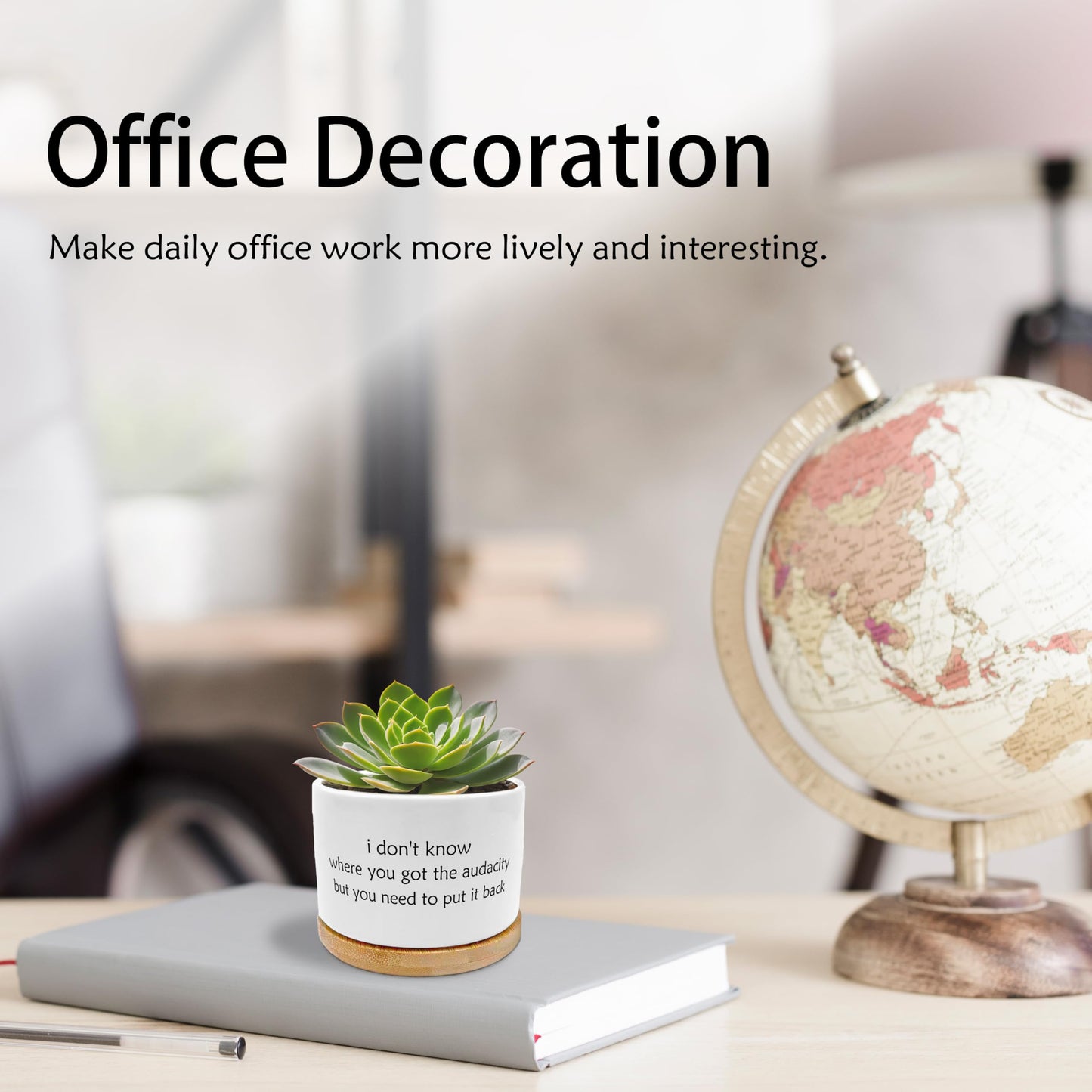 EVIHCG Funny Humorous Saying Planter Pots, Sarcastic I Don't Know Where You Got the Audacity Ceramic Succulent Plant Flower Planters for Home Office Desk Table Shelf(No Plants)