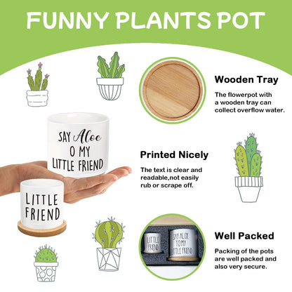 Msyueos Say Aloe to My Little Friend Planter Pot, Funny Plant Pots, Aloe Plant Pot Succulent Pots with Tray Set of 2 Flower Pots Indoor Pot - Without Plants, Office Home Windowsill Gifts (No Plant)