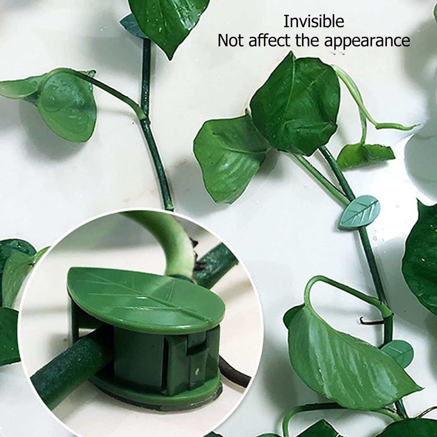 100 Pcs Plant Climbing Wall Fixture Clips Self Adhesive Hook Wall Vines Traction Fixing Support Binding Clips Invisible Holder Climbing Plant Garden Green Leaf Indoor Outdoor Decoration