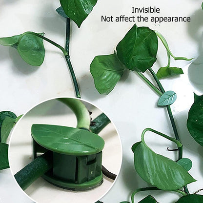 100 Pcs Plant Climbing Wall Fixture Clips Self Adhesive Hook Wall Vines Traction Fixing Support Binding Clips Invisible Holder Climbing Plant Garden Green Leaf Indoor Outdoor Decoration