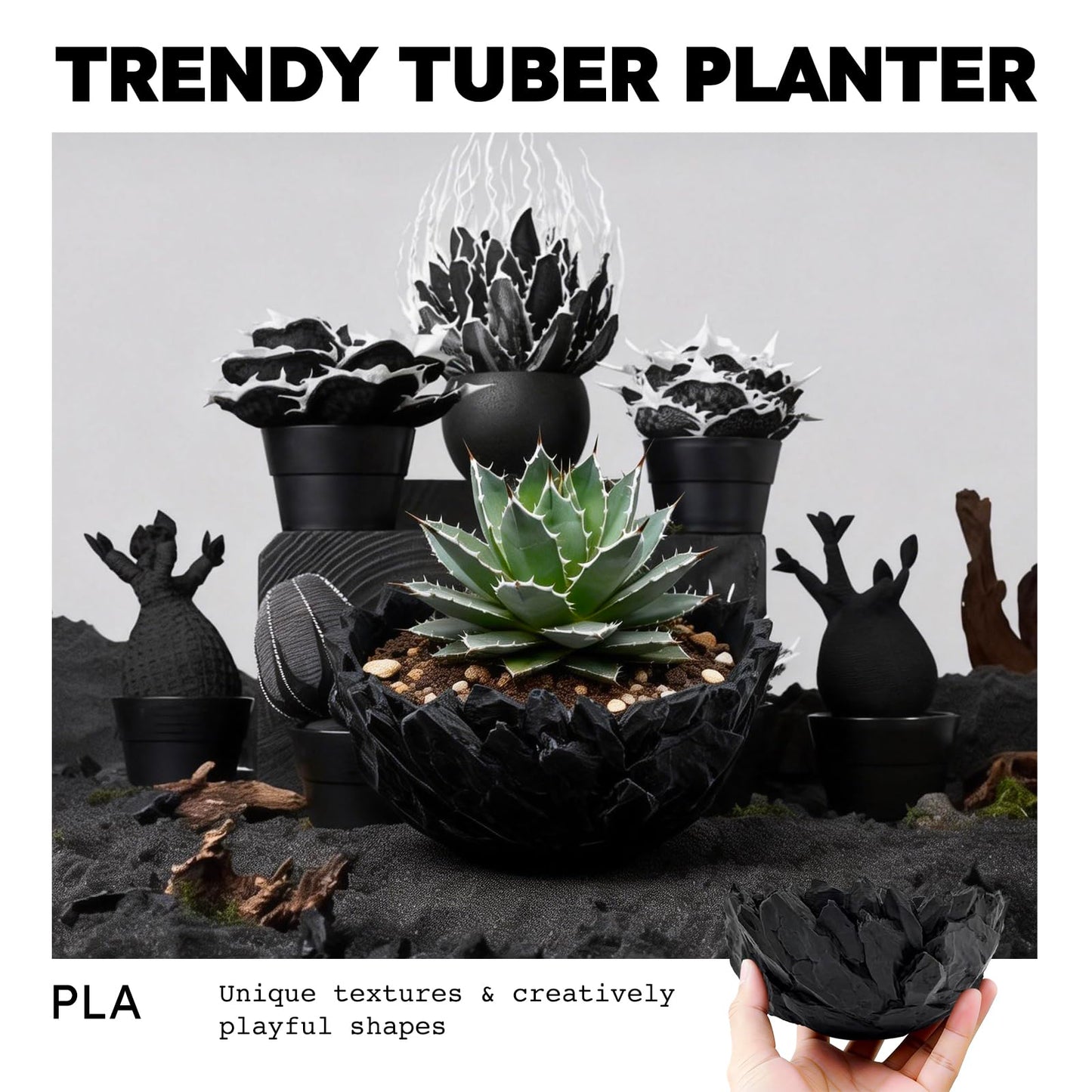 Dak Haan Succulent Pot with Drainage – Indoor Plant Pots, Artistic Design Flower Pots,Personalized Custom Mothers Day Plant Pot, Shallow Succulents Pots Bowls for Home, Office, Weddings & Party Décor