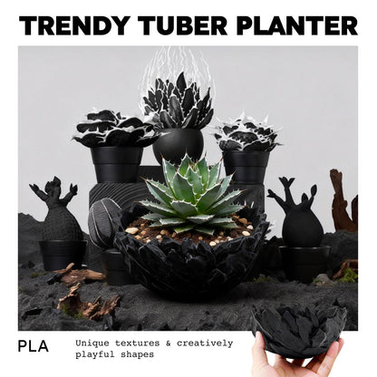 Dak Haan Succulent Pot with Drainage – Indoor Plant Pots, Artistic Design Flower Pots,Personalized Custom Mothers Day Plant Pot, Shallow Succulents Pots Bowls for Home, Office, Weddings & Party Décor