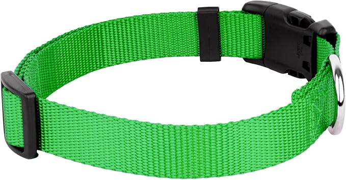 Country Brook Petz - Everyday Nylon Dog Collar and Leash - 10+ Cool Colors (1 Inch, Extra Large, Hot Lime Green)