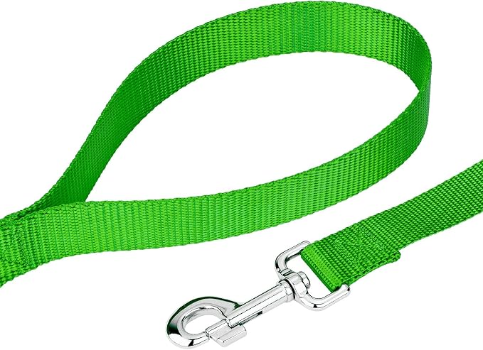 Country Brook Petz - Everyday Nylon Dog Collar and Leash - 10+ Cool Colors (1 Inch, Extra Large, Hot Lime Green)