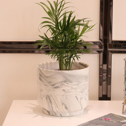 Padolitlay Ceramic Plant Pot 6 Inch Marble Planter Pots with Drainage Holes & Mesh Pads, Modern Plant Pot for Indoor Outdoor Plants-Cylinder Round Planter Pot