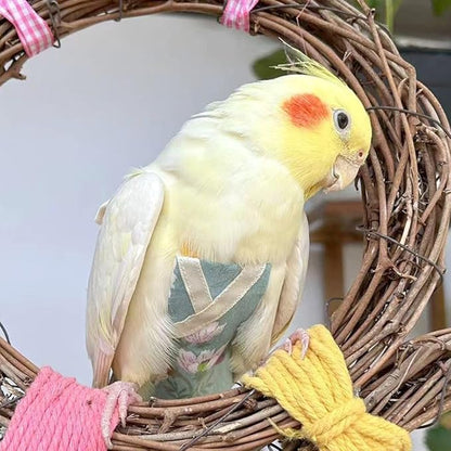 Bird Flight Suits Diapers, Parrot Flight Suits Diapers for Quaker Parakeets Cockatiels Conures Macaw African Grey, Bird Diaper, Parrot Clothes (Blue,M)