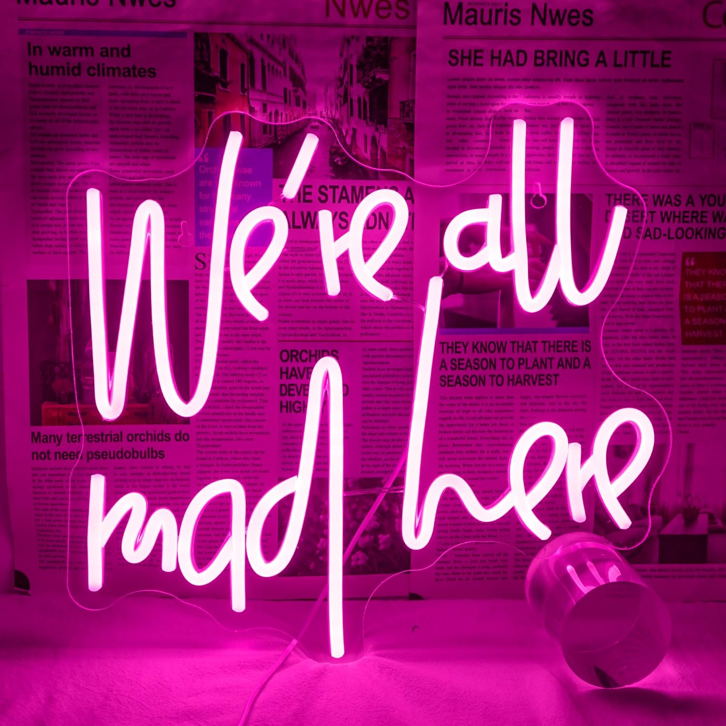 WLHOPE Read Books Be Kind Neon Sign Neon Signs for Wall Decor Dimmable Read Books Neon Lights LED Sign for Book Lovers Gifts Bedroom Bookstore Reading Room Library Study Room Decoration
