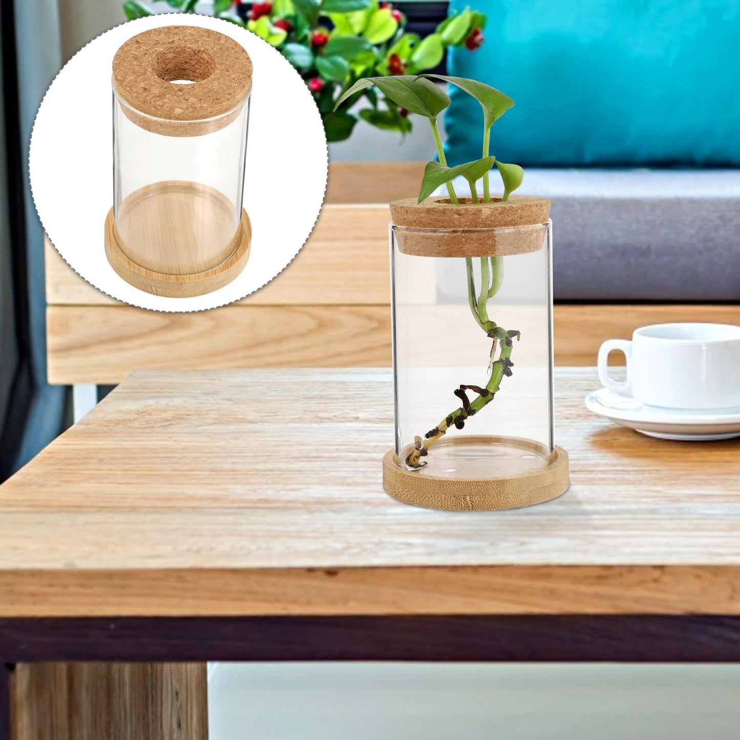Angoily 2pcs Glass Hydroponic Planter Vase with Stand, 6.5x10cm Desktop Terrarium for Home Garden Decoration and Office Plant Display