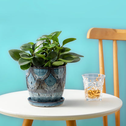 Chralji GIFTWARE Ceramic Planter Pot, 5in, Reactive Glaze Blue, Indoor Outdoor Usage, with Drainage Hole and Saucer