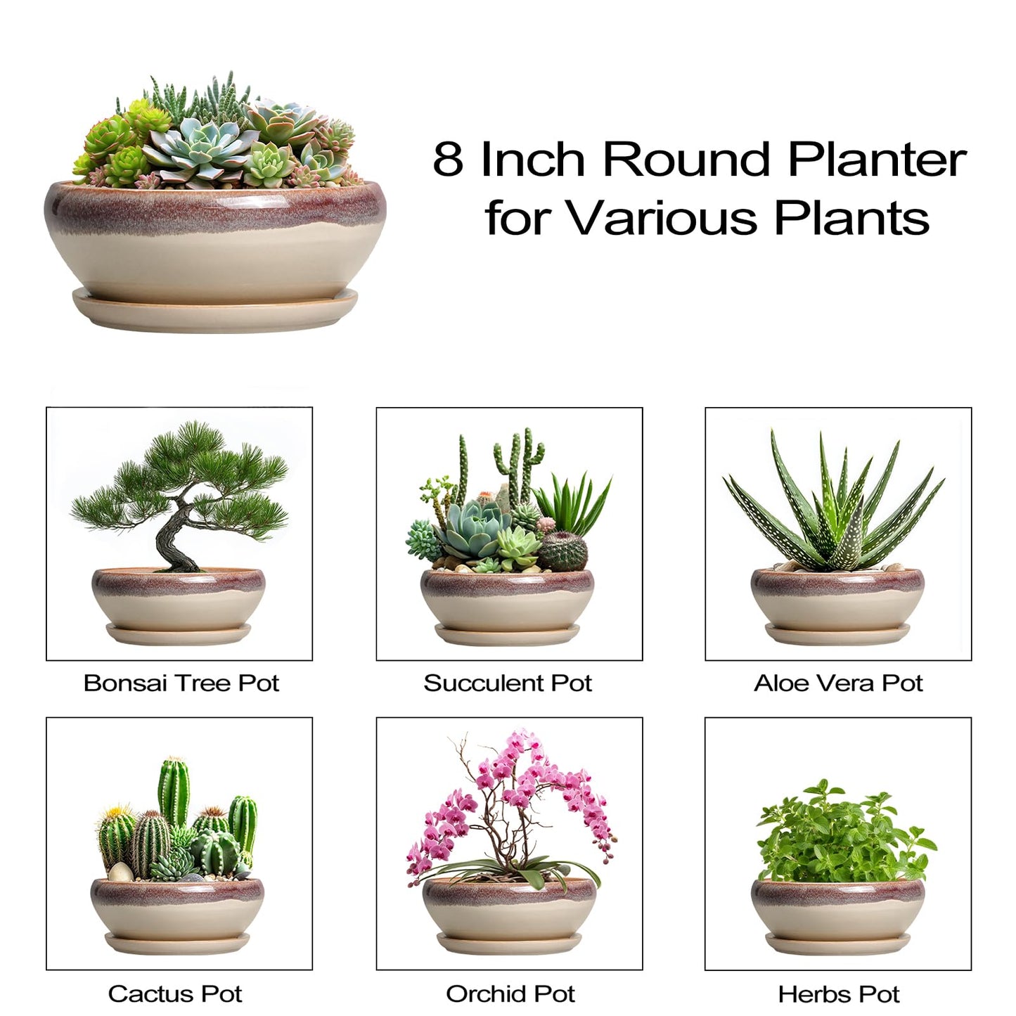 SQOWL Succulent Pots 8 Inch - Ceramic Bonsai Pots for Indoor Plants, Round Shallow Plant Pot with Drainage Hole and Saucer, Bowl Planter Outdoor, Patio Decor, Plant Lover Gifts, Beige