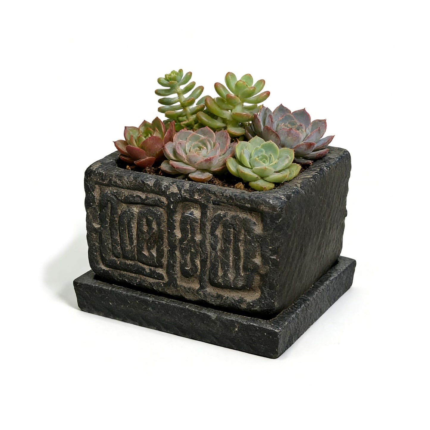 Txjyuyy Small Succulent Pots - Stone Square Plant Pot for Indoor Plants - Rustic Decorative Mini Planter for Desk, Cactus, Bonsai and Farmhouse Home Decor