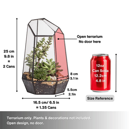 NCYP No Door Geometric Glass Terrarium Planter for Small Succulent, Small Cacti, Black Irregular Opened Terrarium Pot, Indoor Home Garden Office Tabletop Decor, 6.5" x 5.7" x 9.8" (No Plants)