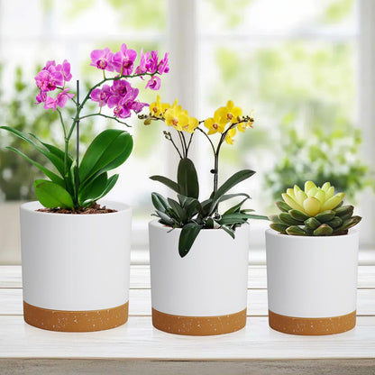 WSMKSZ 5 Pack Cylindrical Flower Pots with 7/6.5/6/5/4 inch, Modern Small Plastic Plant Pots with Drainage Holes & Saucers, Round Planter Pots for Outdoor, Indoor & Office Decor (White Brown)