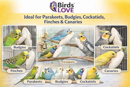 Birds LOVE 7.5-8" Cuttlebone for Birds – 100% Natural Sun-Dried Calcium Carbonate Mineral Supplement – for Parakeets, Budgies, Cockatiels, Finches & Canaries – 12 Pack with Holder – Made in Vietnam