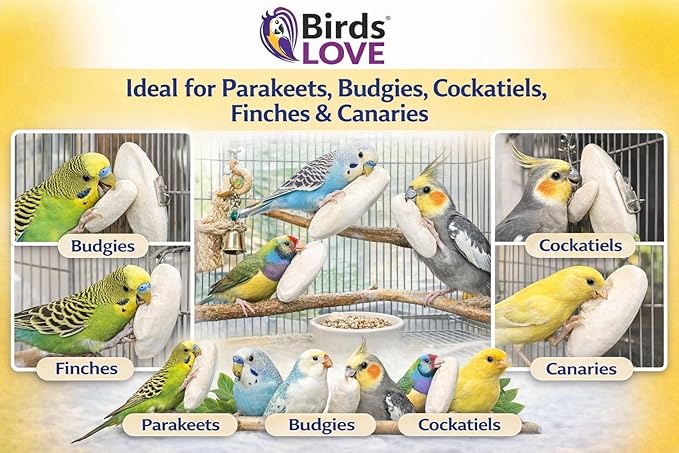 Birds LOVE 5.5-6″ Cuttlebones for Birds – 100% Natural Sun-Dried Calcium Carbonate Mineral Supplement – for Parakeets, Budgies, Cockatiels, Finches & Canaries – 4 lb with Holder – Made in Vietnam