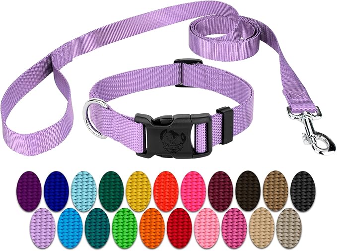 Country Brook Petz - Everyday Nylon Dog Collar and Leash - 10+ Cool Colors (1 Inch, Large, Lavender)