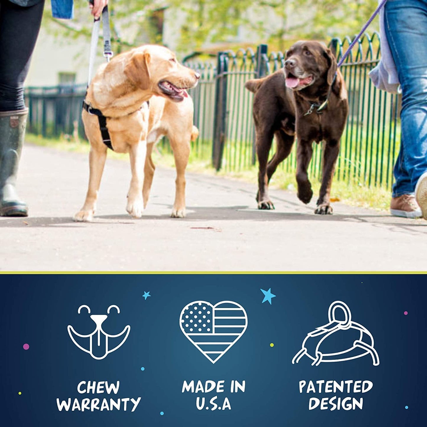 2 Hounds Design Freedom No Pull Dog Harness, Adjustable Harness, Easy Walking & Comfortable Control, Fits Small, Medium & Large Dogs, Solid Colors, Made in USA, 1" LG, Teal
