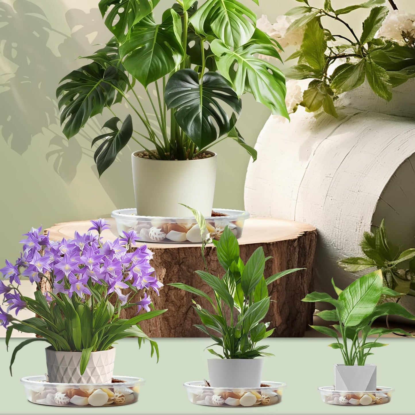 SupKing 9 Pack Plant Saucers (8inch /10inch /12inch) Heavy Sturdy Plant Trays for Indoor Clear Plastic Flower Pot Saucers Thicker Plant Water Drip Trays for pots -Clear