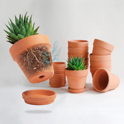 HERDUK Terracotta Starter Pots with Saucers – 4 Inch Clay Planting System for Healthy Roots, Reliable Drainage & Indoor Growing, Ideal for Succulents, Seedlings & Small Spaces