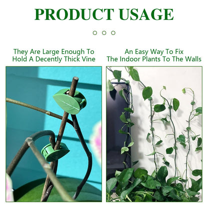 Plant Wall Clips - 30 Pcs Climbing Plant Fixture Clips for Vines & Leaf Accessories - Self-Adhesive Hanging Hooks for Indoor/Outdoor Garden