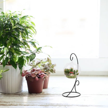 FOMIYES 2pcs Black Iron Hanging Plant Bracket Half-circle Hook Ornament Display Stand Hanging Terrarium Holder for Indoor Air Plants and Miniature Glass Bottles