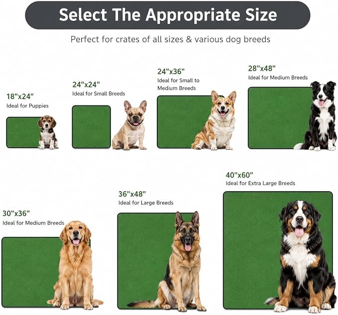 4 Pack Washable Pee Pads for Dogs 18"x24", Reusable Training Puppypads Absorbency Non-Slip & Leak-Proof for Pet Whelping Box Playpen Crate Sofa Bed Floors (Green)