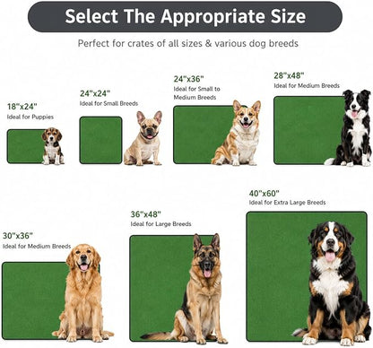 2 Pack Washable Pee Pads for Dogs 24"x36", Reusable Training Puppypads Absorbency Non-Slip & Leak-Proof for Pet Whelping Box Playpen Crate Sofa Bed Floors (Green)