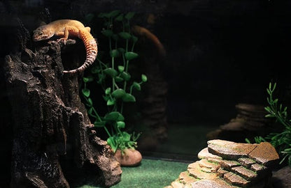 Penn-Plax Reptology Shale Step Ledge Cave Hideout - Aquarium & Terrarium Decoration - for Fish, Reptiles, Amphibians, and Small Animals - Large 2 (REP189)