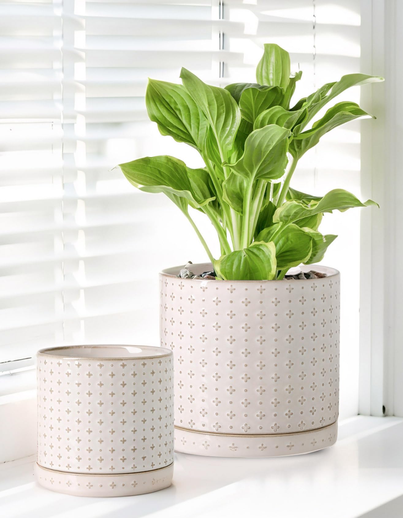 Plant Pots, 5+6 inch Planters Set of 2, Ceramic Pot for Indoor Plants with Drainage Hole and Saucer, Small Flower Pot for Succulent, White