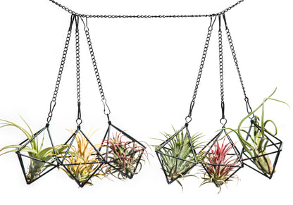 libproqia Small Air Plants Holders Black Hanging Airplants Hangers Iron Wire Airferns Display Frame Geometric Tillandsia Air Planter with Chains for Wall Mounted Himmeli Decor 6pcs(No Plants)