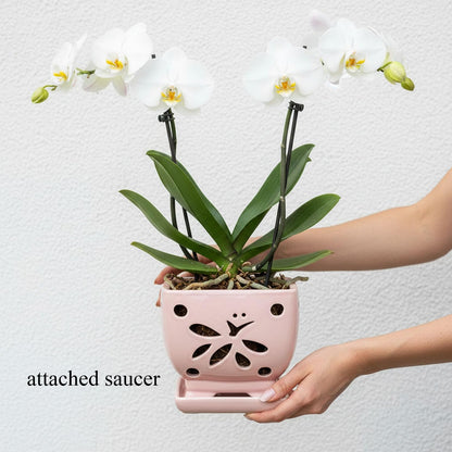 Grdthzey Orchid Pots with Holes Square Ceramic Orchid Planter Pots 5.5 inch (Pink)