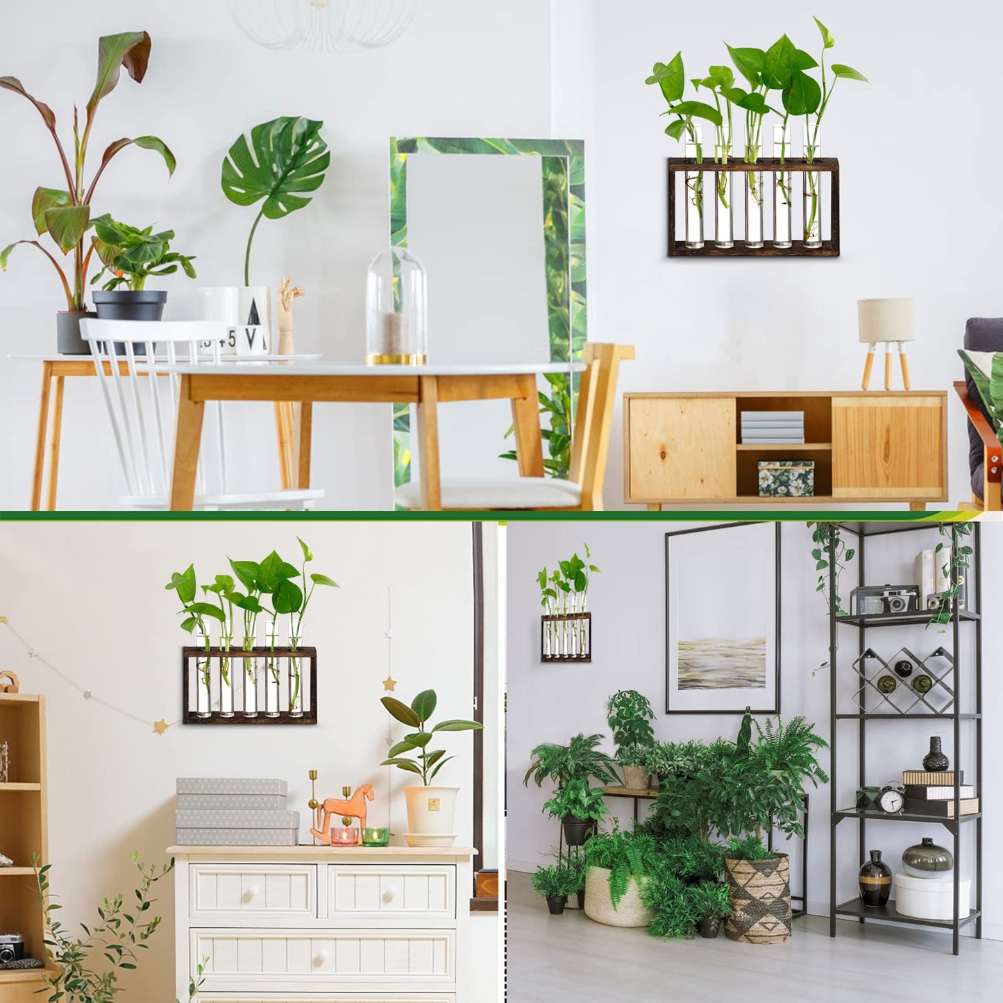 XXXFLOWER Plant Propagation Station,Plant Terrarium Wooden Stand with 5 Test Tubes,Glass Planters for Indoor Plants,Plant Lover Gifts for Women Mom Wife Daughter,Garden Office Room Decoration